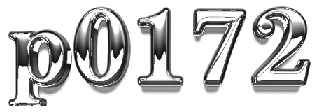 p0172 logo